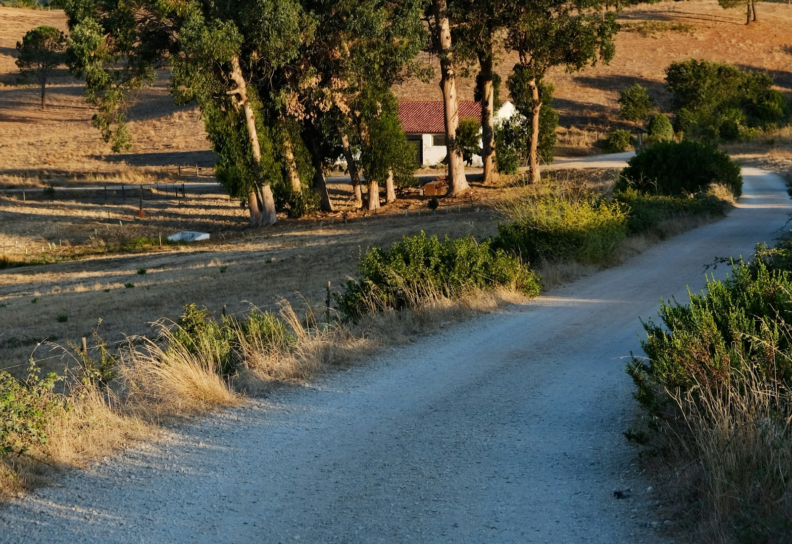 Paisagem rural junto ao Rio da Mula, em Sintra, com árvores, campos e um caminho de terra.